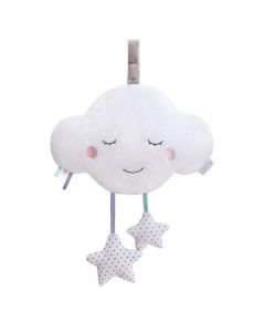 Bluetooth Musical Box