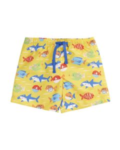 Board Shorts