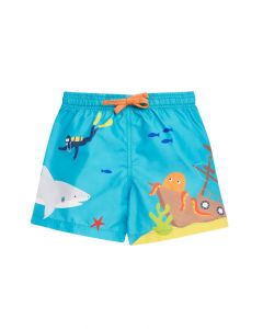 Polkerris Shorts