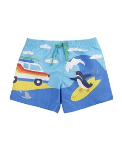 Board Shorts