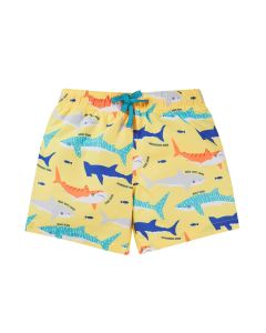 Boscastle Board Shorts