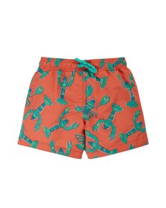 Boscastle Board Shorts