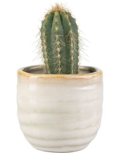 Vox Flowerpot Cover LIG Small