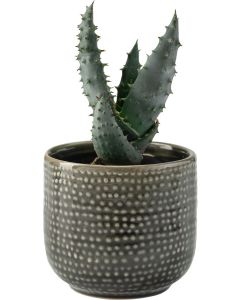 Vox Flowerpot Cover LIGO Small