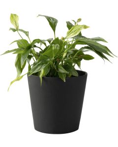 Vox Flowerpot Cover DUNO Small