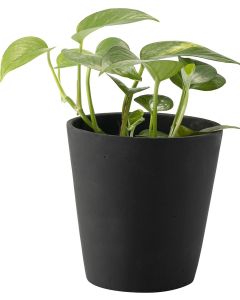 Vox Flowerpot Cover DUNO Large