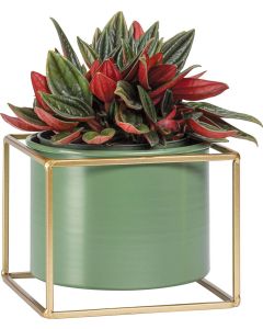 Vox Flowerpot Cover GRINO Low Green Metal
