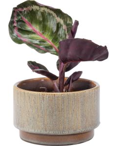 Vox Flowerpot Cover TES