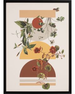 Vox Graphics QUELLO I 50X70