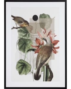 Vox Graphics VERDE III 70X100